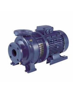 3DS/I 65-125/5,5 IE3