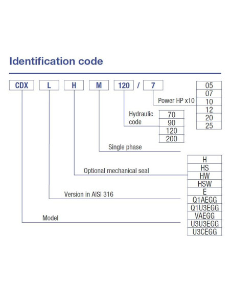 Pompa centrifuga Ebara CDX/I 200/12 IE3