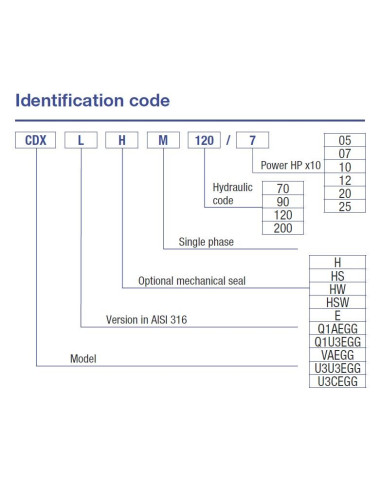 Pompa centrifuga Ebara CDX/I 200/20 IE3