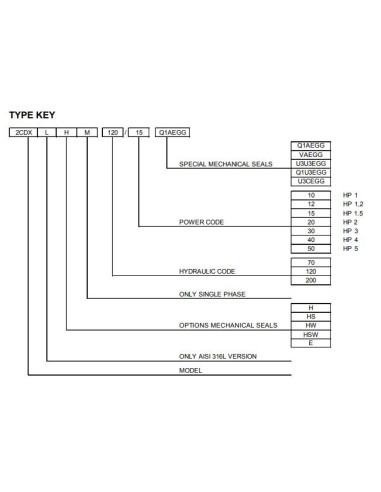 Electropompa centrifuga EBARA 2CDX/I 120/20 IE3