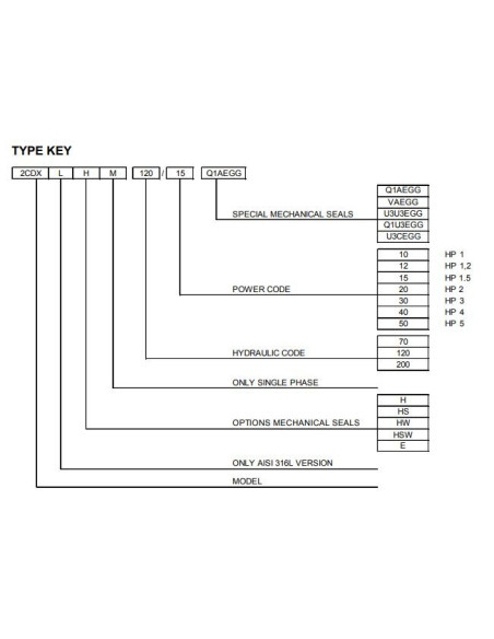 Electropompa centrifuga EBARA 2CDX/I 120/40 IE3