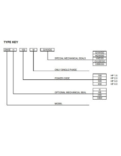Pompa Ebara DWO/I 300 IE3 2