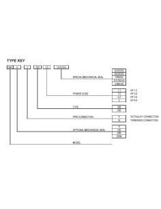 Pompa Ebara DWC 500/2,2 IE3 2